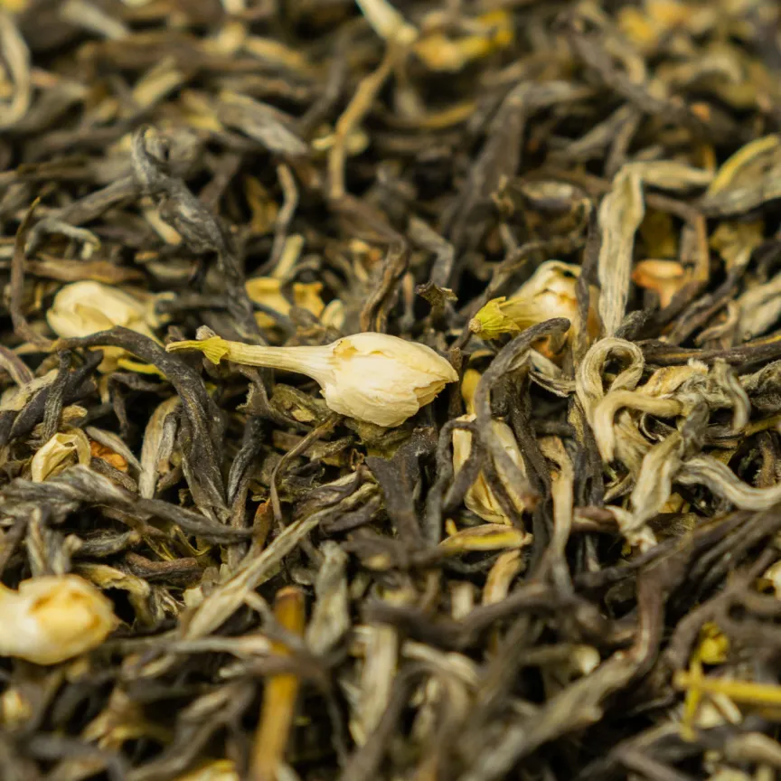 Жасмин, Фото 2 Жасмин, Картинка 2