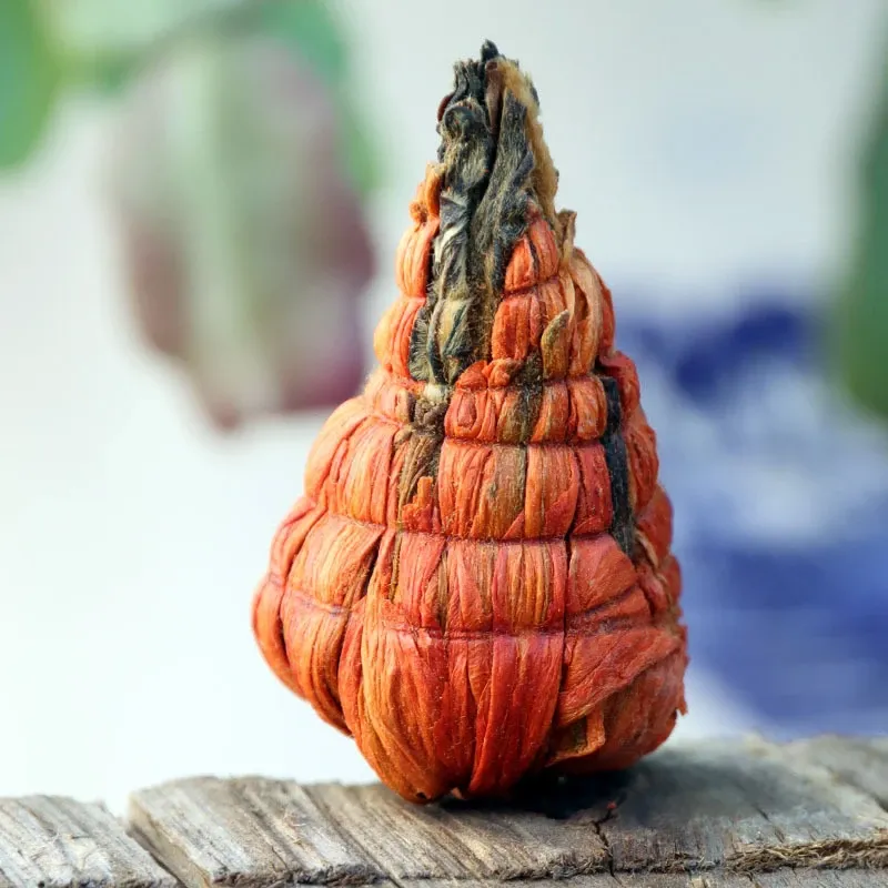 Дянь Хун Золота Пагода, Фото 2 Дянь Хун Золота Пагода, Картинка 2