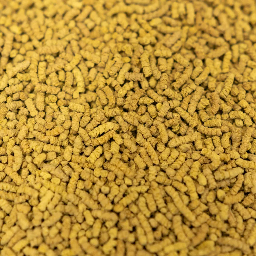 Ку Цяо, Фото 2 Ку Цяо, Картинка 2