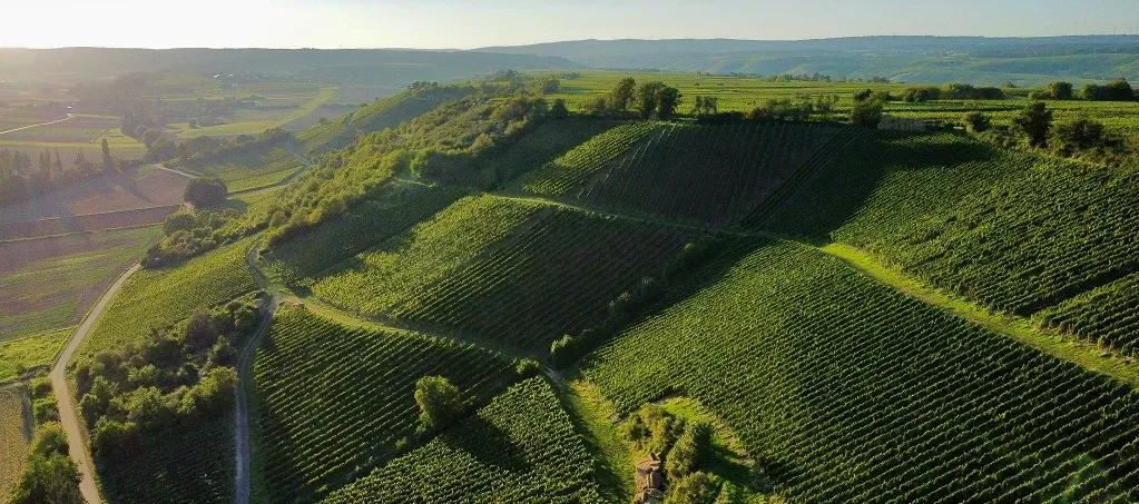 Походження